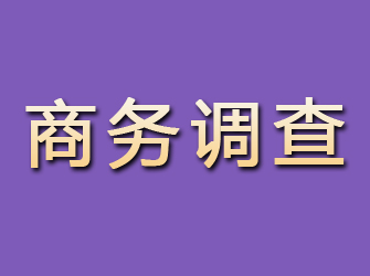 迭部商务调查